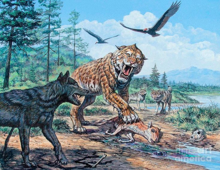 Ужасный волк