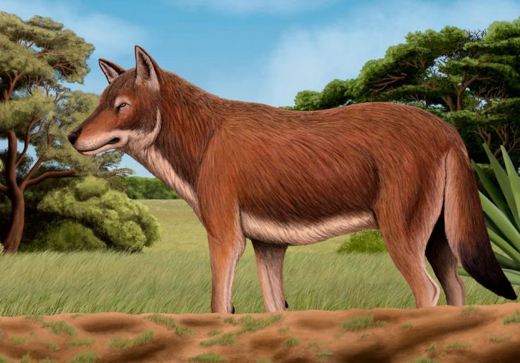 Ужасный волк