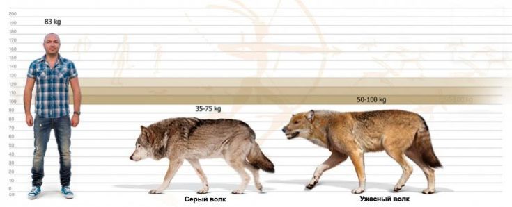 Ужасный волк